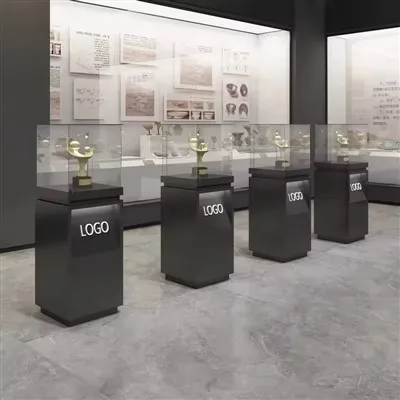 Museum Display Case Ventilation System