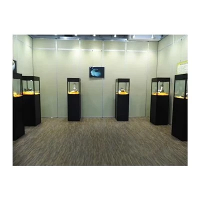 Museum Exhibit Enclosure