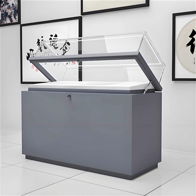 Museum Temporary Exhibit Case