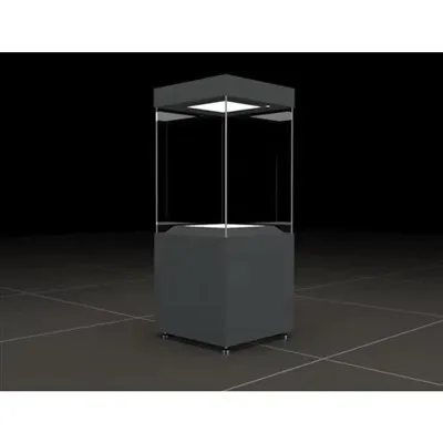 Museum Vitrine
