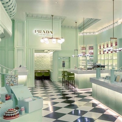 Woman's Handbags Showcase